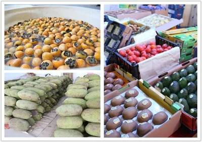 禪城南莊大型水果批發(fā)市場開業(yè)，市民迎來“水果自由”新選擇