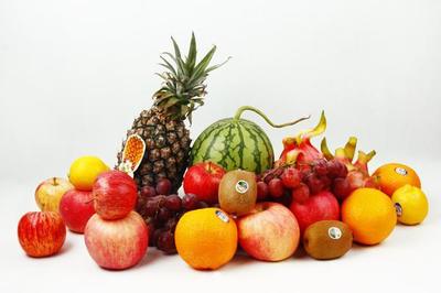 新年新“果”禮 跨越物種界限的溫情饋贈(zèng)