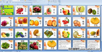 趣味探索 美味的水果與奇妙的無脊椎動(dòng)物